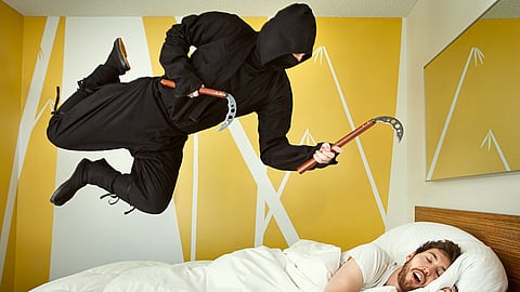 International Ninja Day