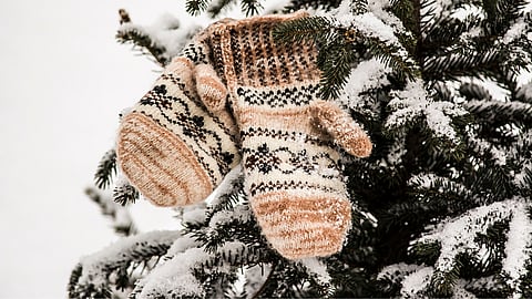 Mitten Tree Day