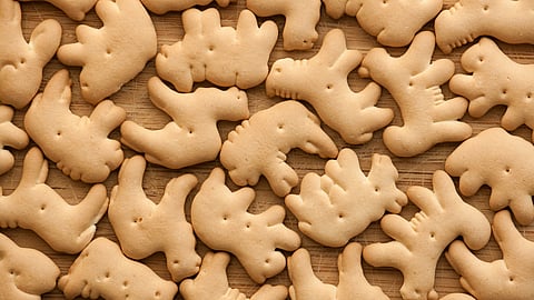 NATIONAL ANIMAL CRACKERS DAY  April 18