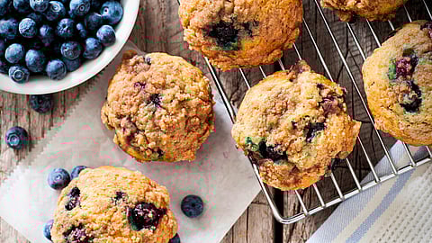 NATIONAL BLUEBERRY MUFFIN DAY  July 11