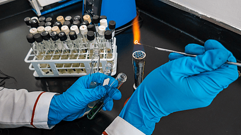 NATIONAL BUNSEN BURNER DAY