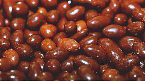 NATIONAL CHOCOLATE COVERED NUT DAY - February 25 