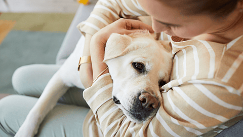 National Cuddle Up Day