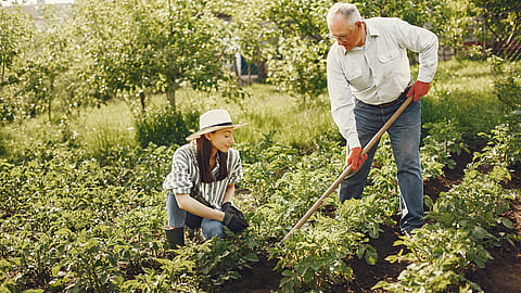NATIONAL GARDENING EXERCISE DAY  June 6