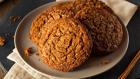 NATIONAL GINGERSNAP DAY  July 1