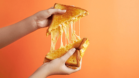 NATIONAL GRILLED CHEESE SANDWICH DAY  April 12