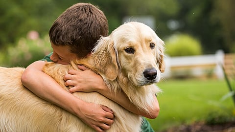 NATIONAL HUG YOUR HOUND DAY  Second Sunday in September