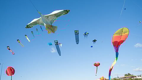 NATIONAL KITE FLYING DAY - February 8 