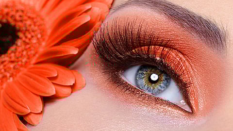 NATIONAL LASH DAY - February 19 