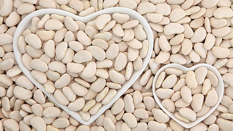 NATIONAL LIMA BEAN RESPECT DAY  April 20