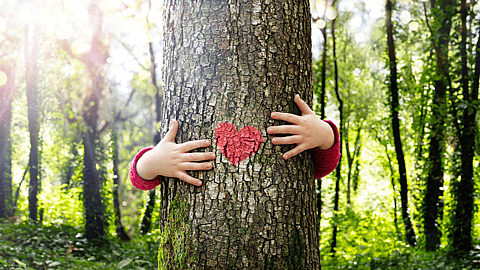 NATIONAL LOVE A TREE DAY  May 16