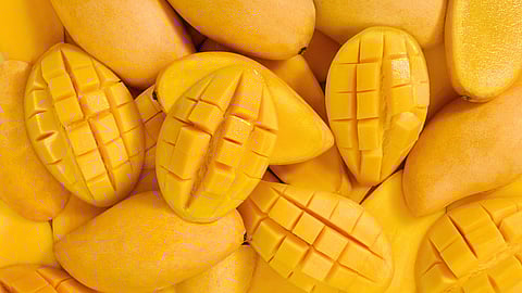 NATIONAL MANGO DAY  July 22