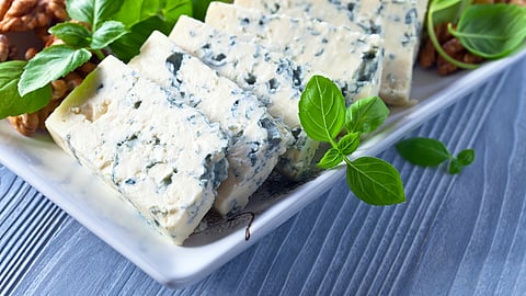 National Moldy Cheese Day