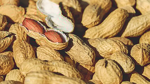 NATIONAL PEANUT DAY  September 13