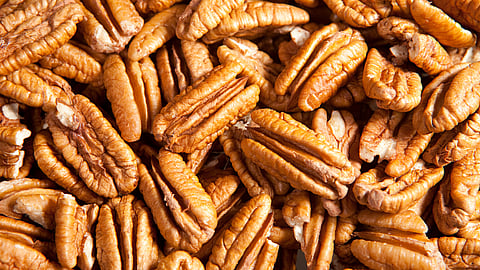 NATIONAL PECAN DAY   April 14