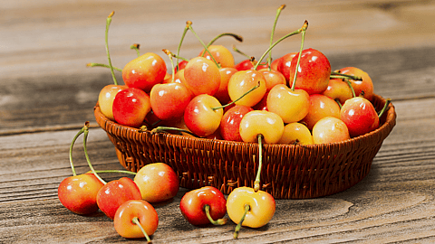 NATIONAL RAINIER CHERRY DAY | June 28
