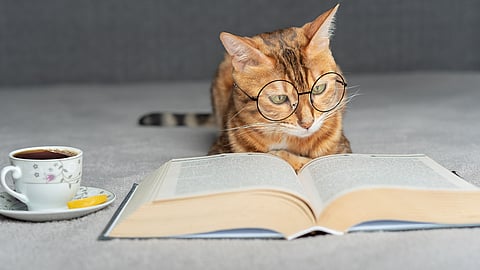 NATIONAL READ A BOOK DAY  September 6