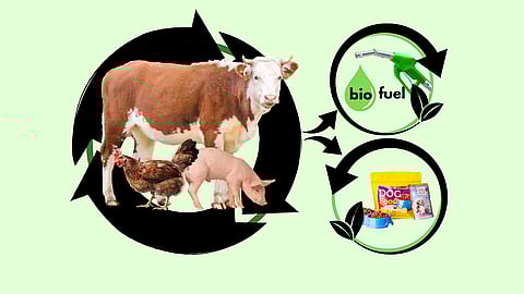 NATIONAL RENDERING DAY  April 21