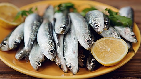 National Sardines Day