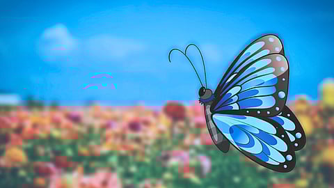 NATIONAL SILENCE THE SHAME DAY  May 5