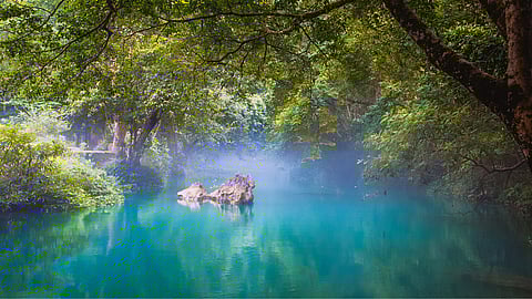 National Silent Record Week | First Week in January