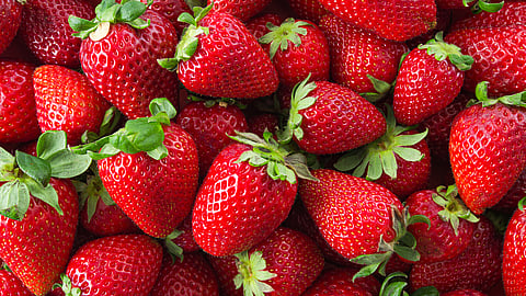 NATIONAL STRAWBERRY DAY - February 27 