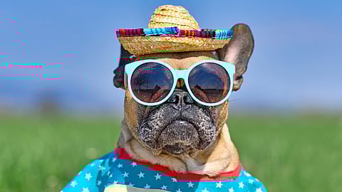 NATIONAL SUNGLASSES DAY  June 27