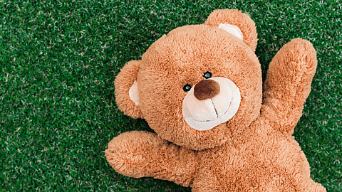 NATIONAL TEDDY BEAR DAY  September 9