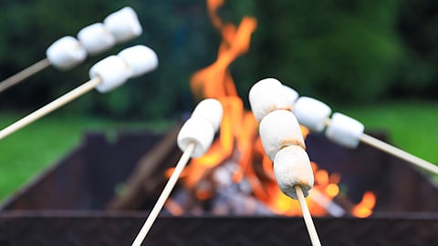 NATIONAL TOASTED MARSHMALLOW DAY  August 30