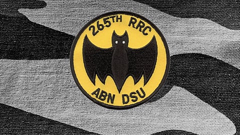 NATIONAL YELLOW BAT DAY  April 21