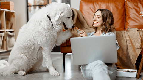 Stay Home Because You're Well Day