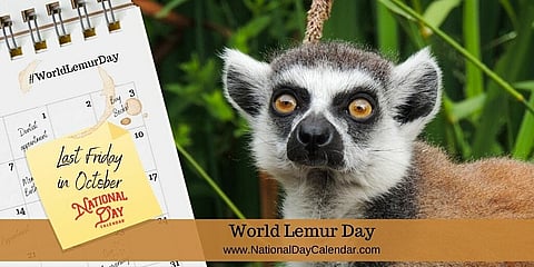 World Lemur Day - Last Friday in October