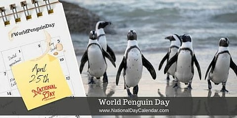 World Penguin Day - April 25