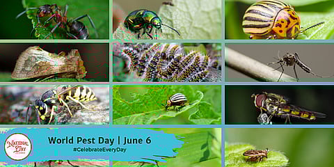 World Pest Day | June 6