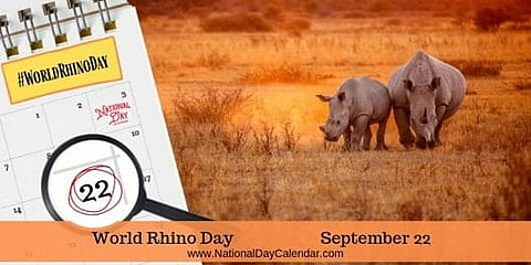 World Rhino Day - September 22
