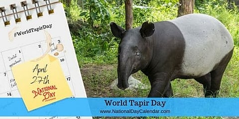 World Tapir Day - April 27