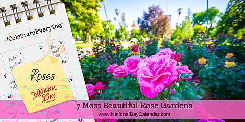 7 Most Beautiful Rose Gardens