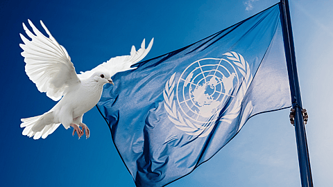 Disarmament Week