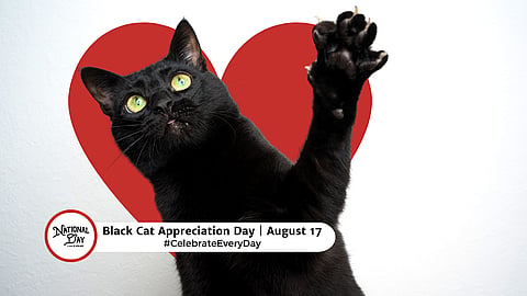 BLACK CAT APPRECIATION DAY  August 17