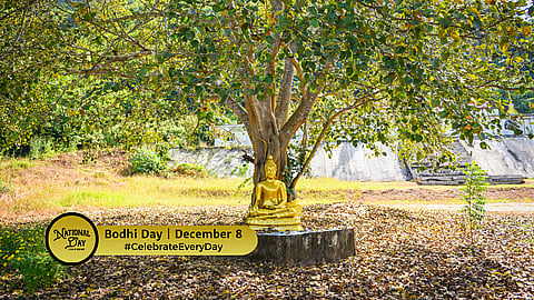 Bodhi Day
