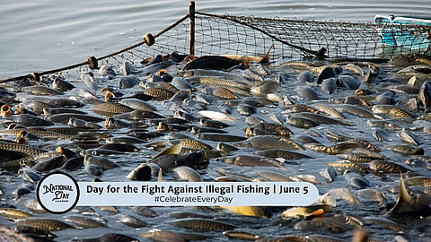 DAY FOR THE FIGHT AGAINST ILLEGAL FISHING | June 5