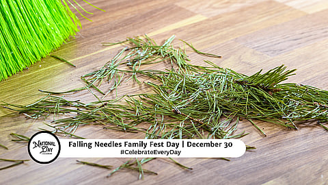 Falling Needles Family Fest Day