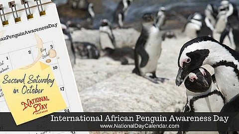 International African Penguin Awareness Day - Second Saturday in October