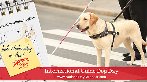 International Guide Dog Day - Last Wednesday in April