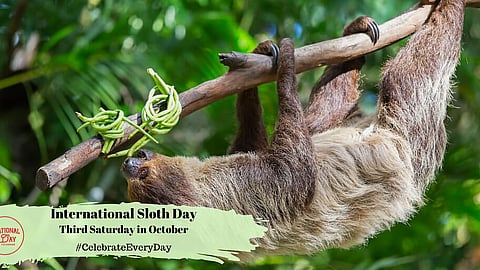 International Sloth Day | Third Saturday in October