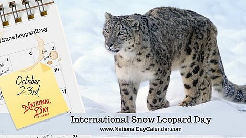 International Snow Leopard Day - October 23
