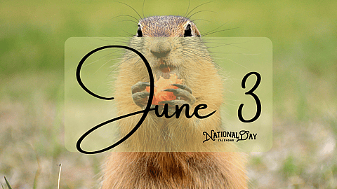 JUNE 3 | Birthdays and Events - June 3, 2026 - National Day Calendar