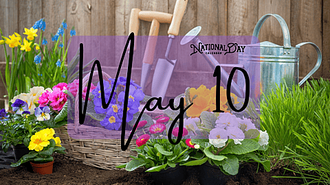 MAY 10 | Birthdays and Events
