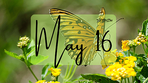 MAY 16 | Birthdays and Events