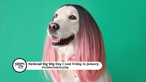 Big Wig Day